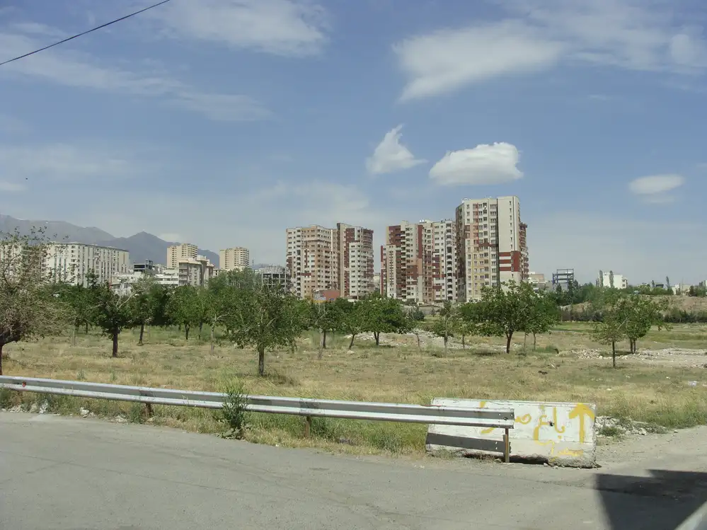 سرو (1)