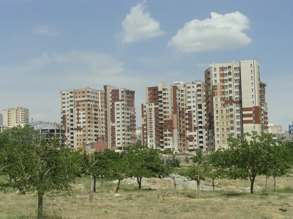 سرو