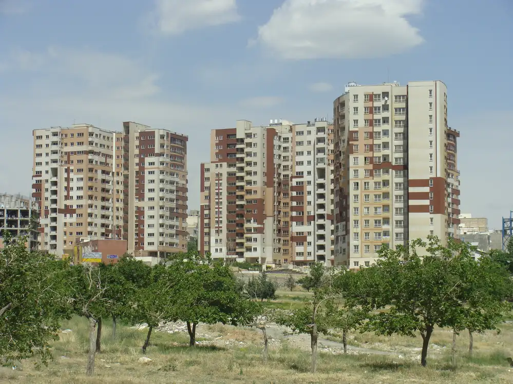 سرو (4)